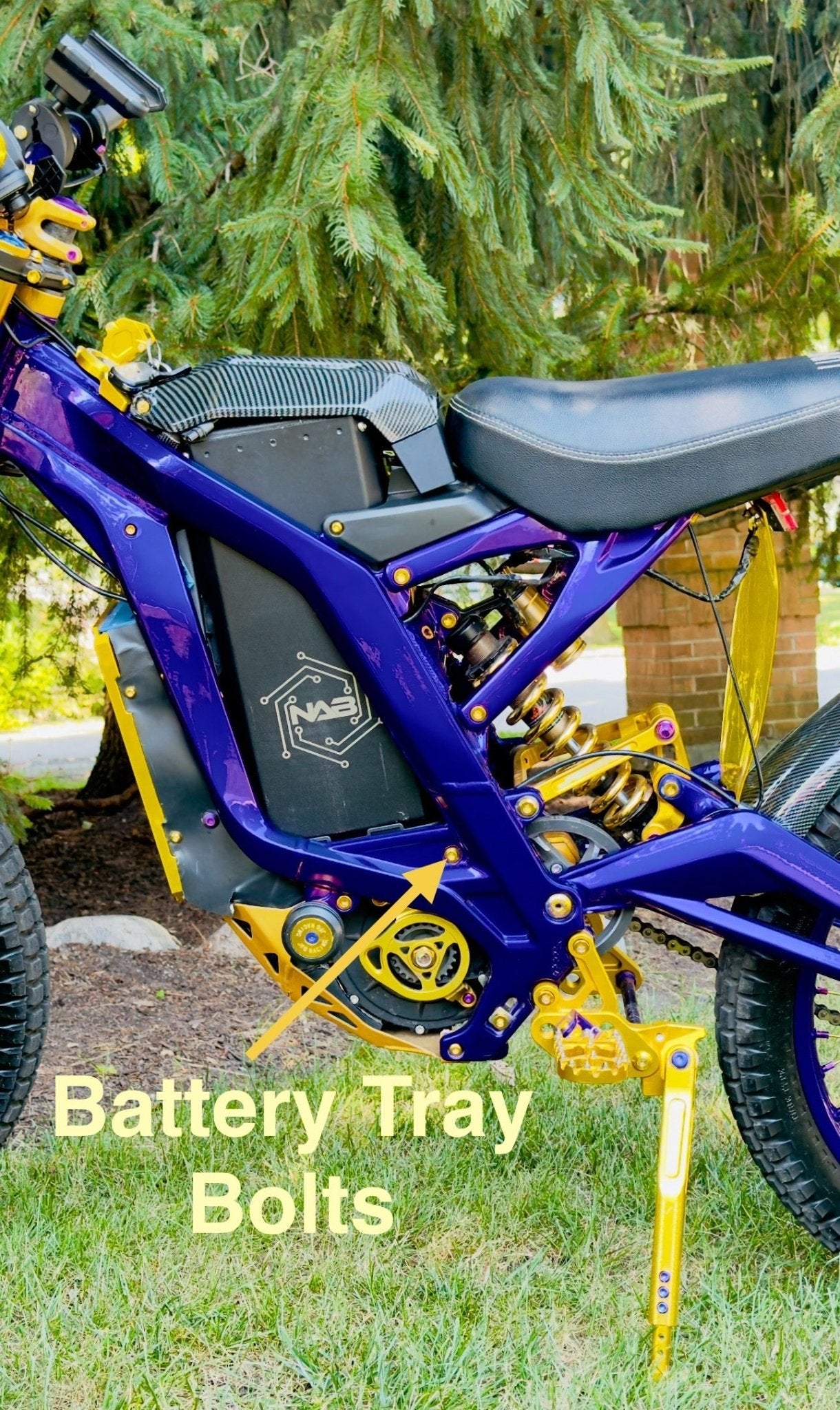 Titanium Battery Tray Bolts (Set of Two) Surron, Segway, E-Ride Pro