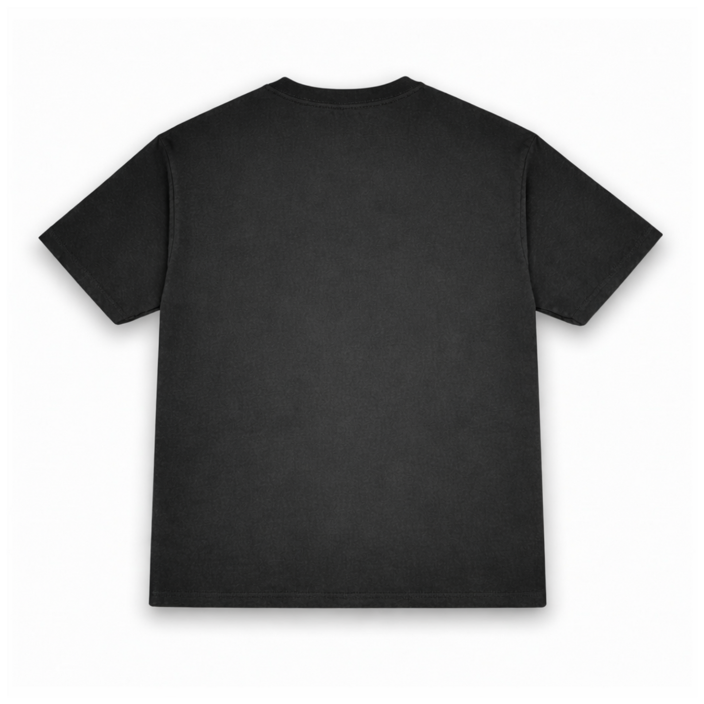 Rock Hidden Tee (Pre-order)